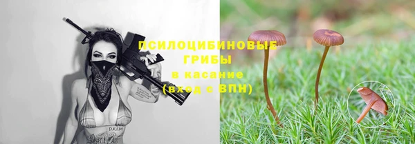 гашик Абаза