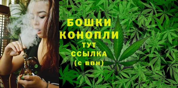 эйфоретик Осташков