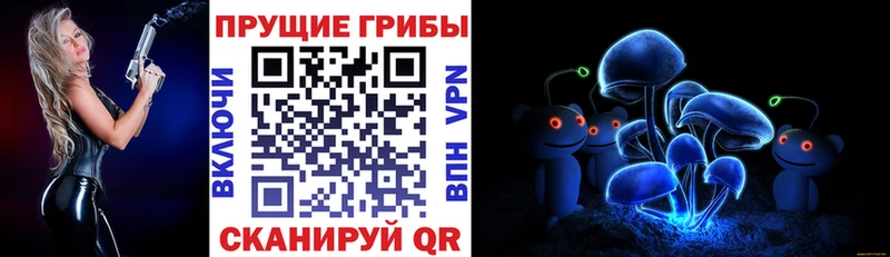 Псилоцибиновые грибы мицелий гидра зеркало Тавда